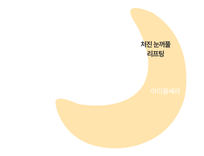 4세대써마지,바디써마지,써마지FLX600샷,수면써마지,써마지전문,울쎄라가격,써마지900샷가격,써마지시술,써마지후기,써마지추천,써마지900샷,아이바이써마지,써마지키닥터,신사동써마지,듀엣써마지,아이써마지이벤트,써마지병원,써마지잘하는곳,THERMAGE,써마지600샷