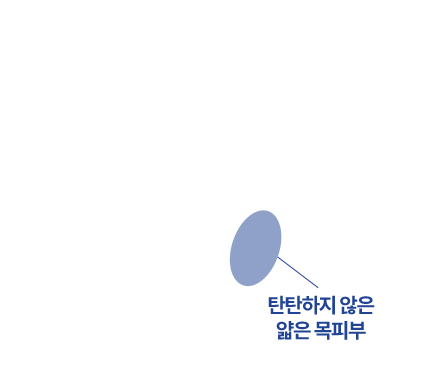 4세대써마지,바디써마지,써마지FLX600샷,수면써마지,써마지전문,울쎄라가격,써마지900샷가격,써마지시술,써마지후기,써마지추천,써마지900샷,아이바이써마지,써마지키닥터,신사동써마지,듀엣써마지,목주름써마지이벤트,써마지병원,써마지잘하는곳,THERMAGE,써마지600샷