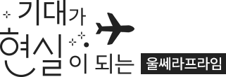 울쎄라, 커스텀울쎄라, 울쎄라시술, 울쎄라전문, 울쎄라리프팅, 울쎄라리프팅시술