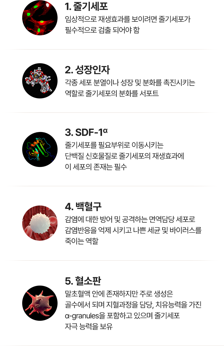 IBEX,고압산소,산소챔버,고압옥시젠 파워 스템셀기가격,옥시젠 파워 스템셀기,고압산소캡슐,산소방