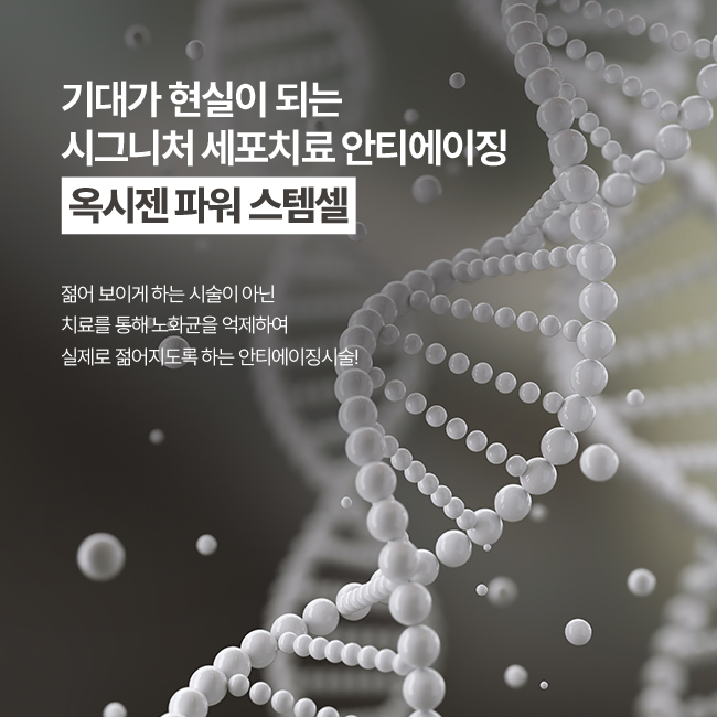 콧볼보톡스,콧등필러,코조각주사,콧볼축소주사,미쥬코,비수술코성형,비절개코수술,벨로테로,콧볼필러,남자코필러가격,코수술후필러,쁘띠코,코필러잘하는곳,스킨플러스하이알,서울코필러,코필러종류,콧볼축소보톡스,코필러병원