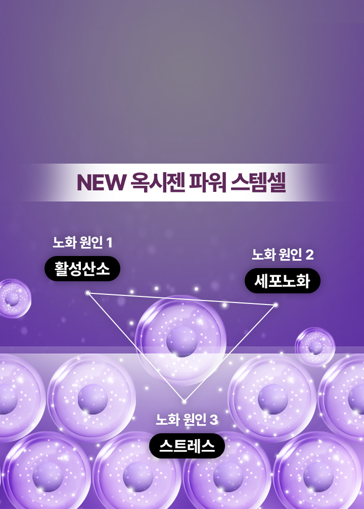 IBEX,고압산소,산소챔버,고압옥시젠 파워 스템셀기가격,옥시젠 파워 스템셀기,고압산소캡슐,산소방