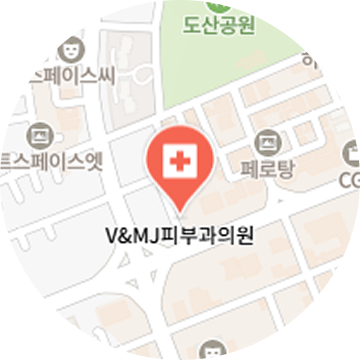 서울 강남 도산대로 303 V&MJ피부과의원 위치